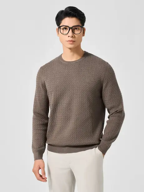 Áo Len Nam Regular Cổ Tròn Thấp Bện Thừng