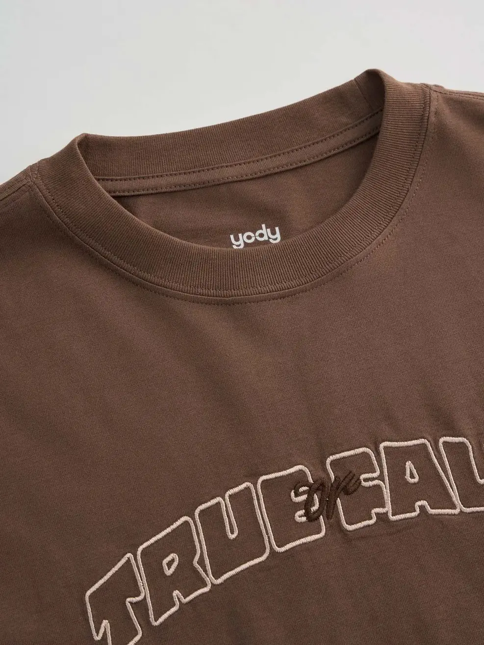 Áo Phông Nữ Form Oversize True Or False - Màu nâu 002 - S