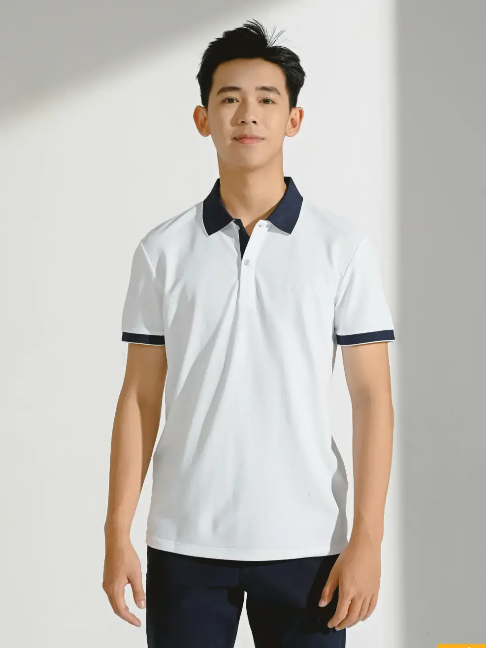 Áo Polo Nam Cà Phê Phối Nẹp (APM3635)) - TRẮNG PHỐI TÍM THAN - M