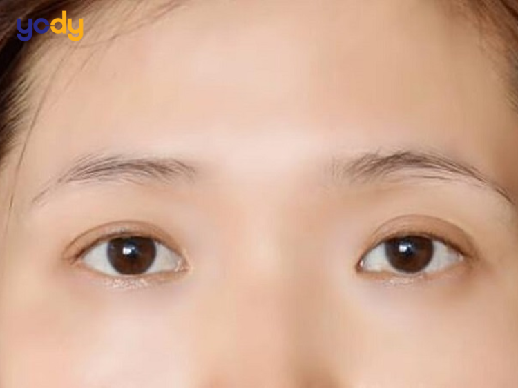 Phụ nữ sở hữu lông mày ngắn và thưa thường mang tính cách hiền lành, dễ mến