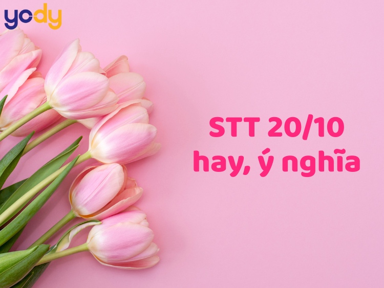Bài viết - Tuyển tập STT 20/10 hay, ý nghĩa và hài hước