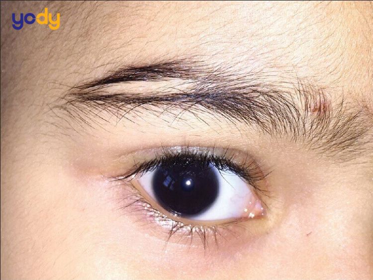 Nhiều người chọn cạo mày đứt đoạn để thể hiện cá tính