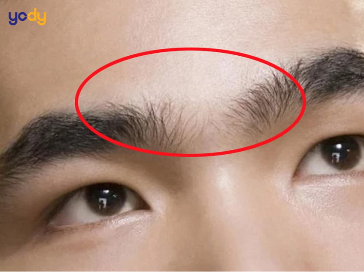 Lông mày giao nhau