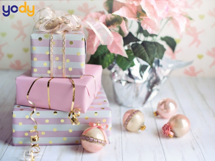 Lời chúc 20/10 cho chị gái hài hước