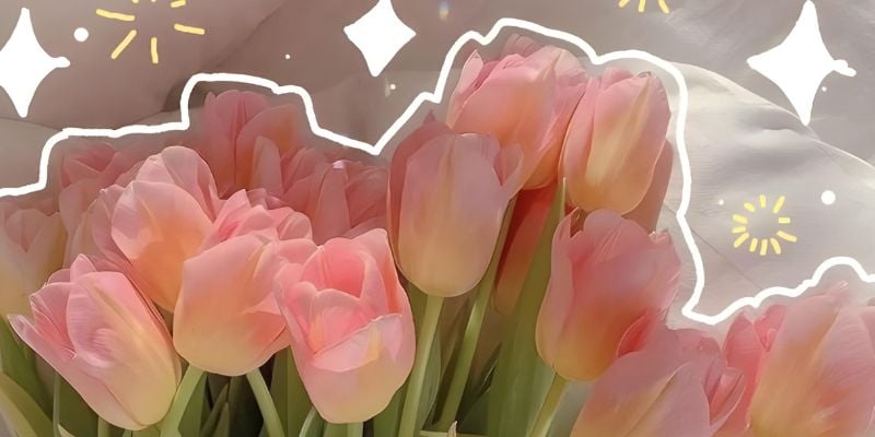 Hình nền 20/10 đẹp, độc đáo cho máy tính