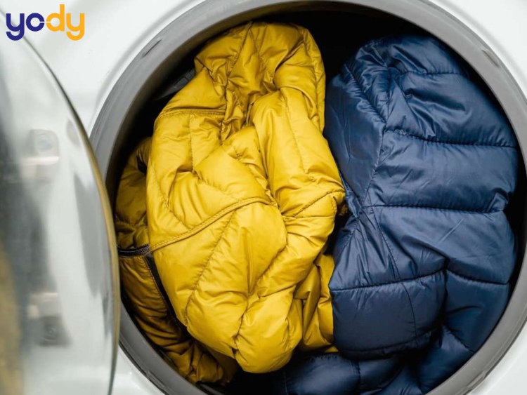 Cách giặt áo phao lông vũ không bị vón cục bằng tay và bằng máy giặt