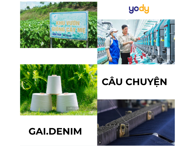 Câu chuyện GAI.DENIM