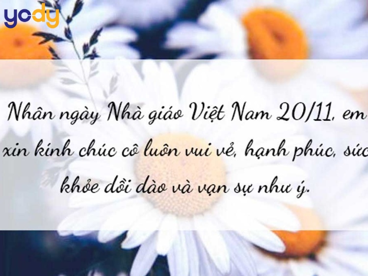 Mẫu thiệp 20/11 kèm lời chúc ý nghĩa 10