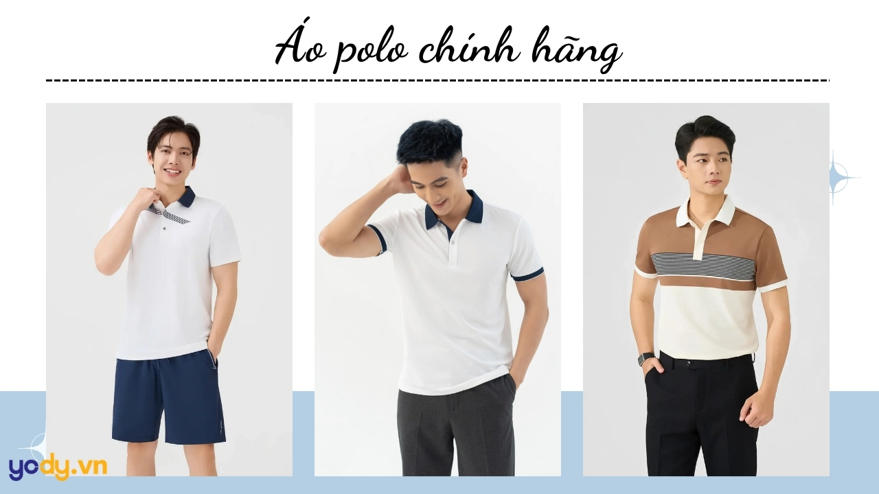 Bài viết - Mua áo polo chính hãng ở đâu? 10 Áo polo được săn đón ở YODY