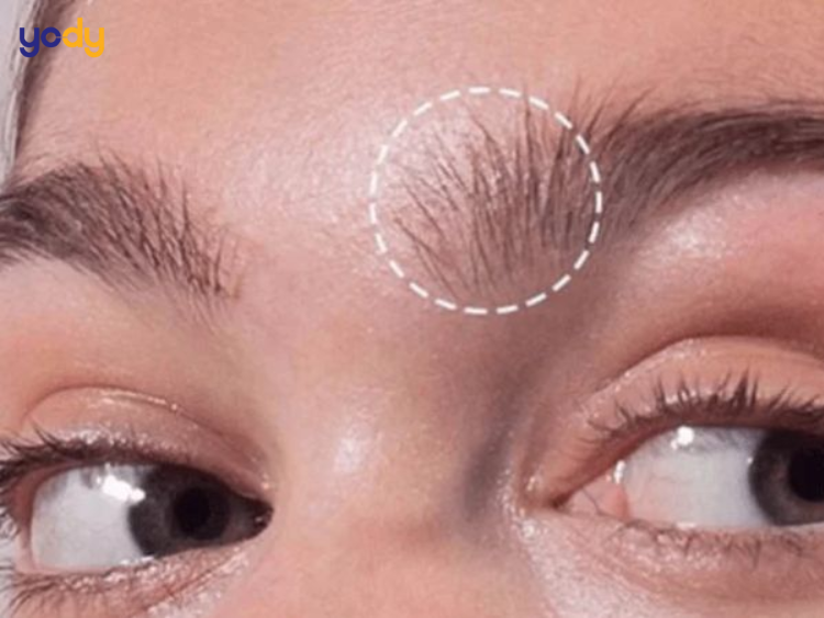 Lông mày dựng ngược